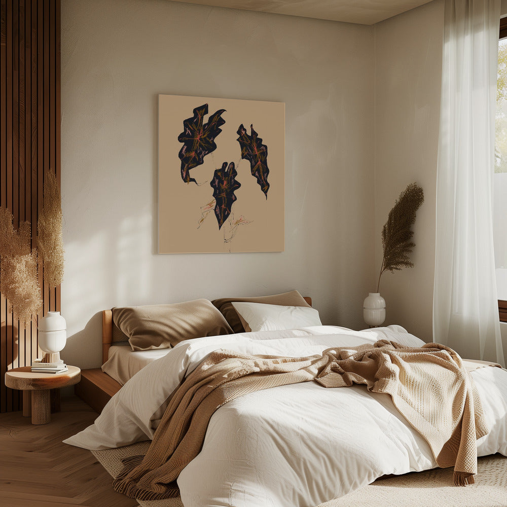 Alocasia Polly Beige | Canvas