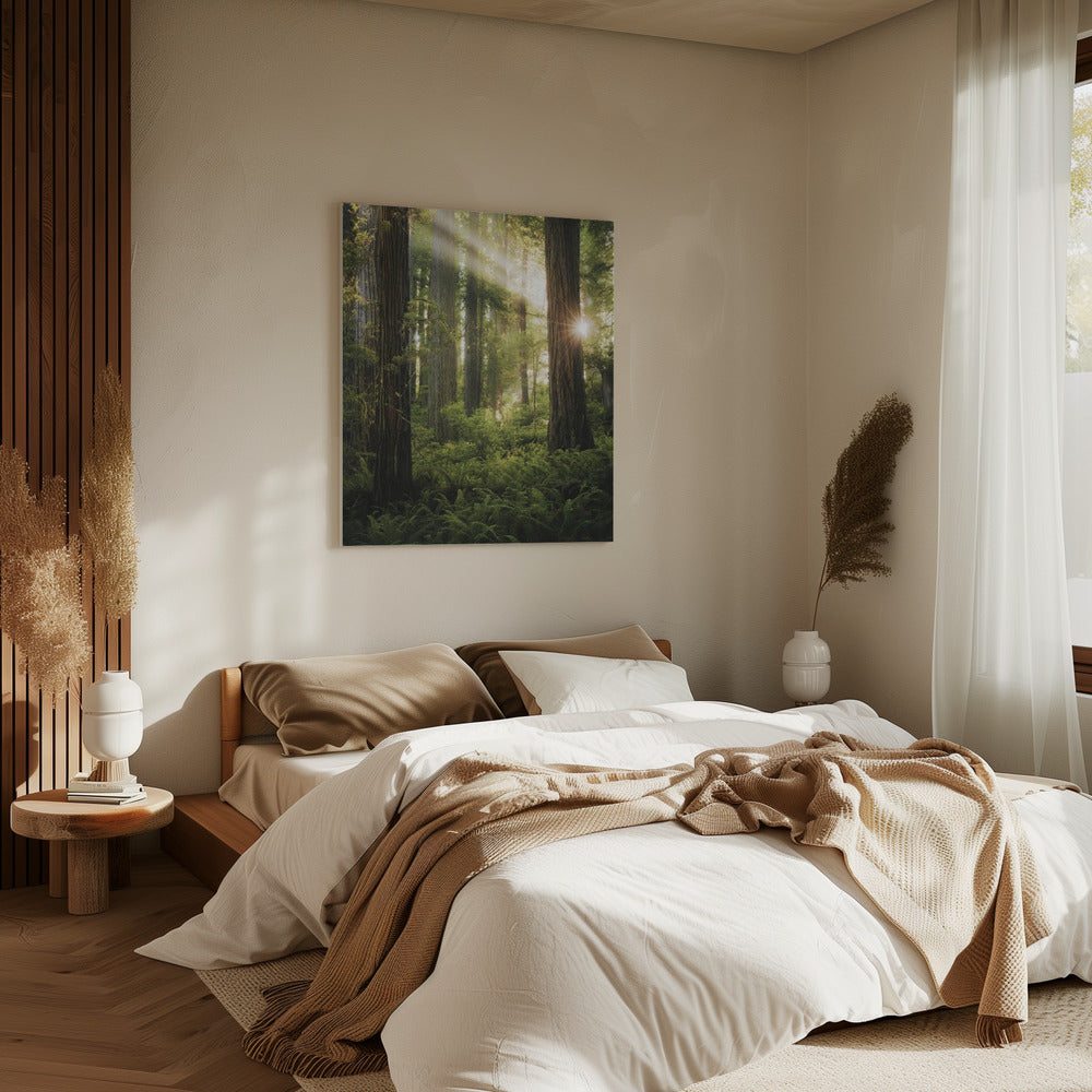 Fairy Forest | Canvas