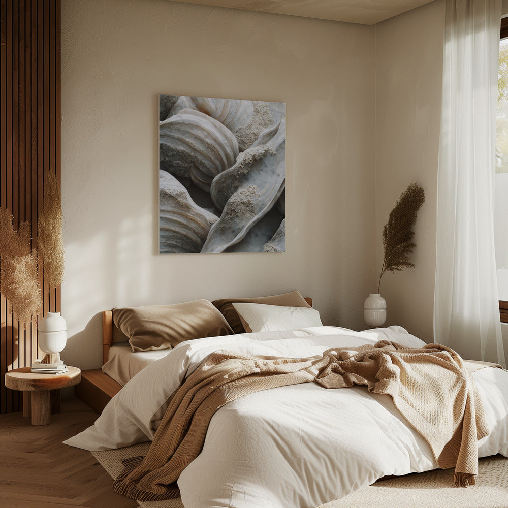 Shell Symphony | Canvas