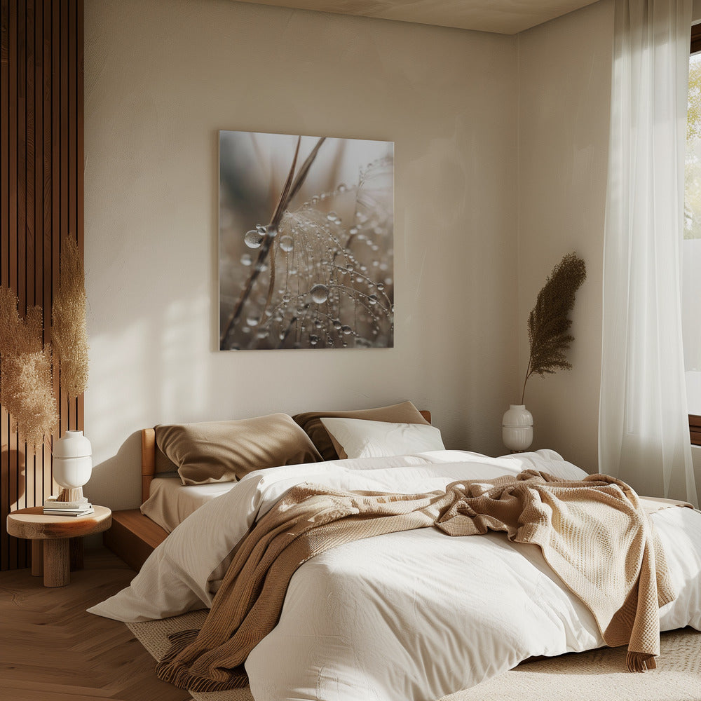 Dewy Filigree | Canvas