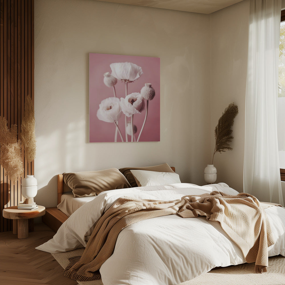 Soft Blooming Poppies | Canvas