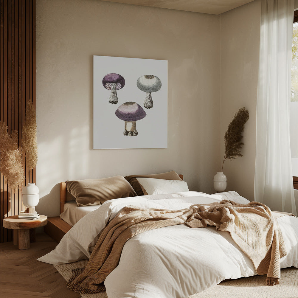 Hand Darwn Violet Webcap Mushroom | Canvas