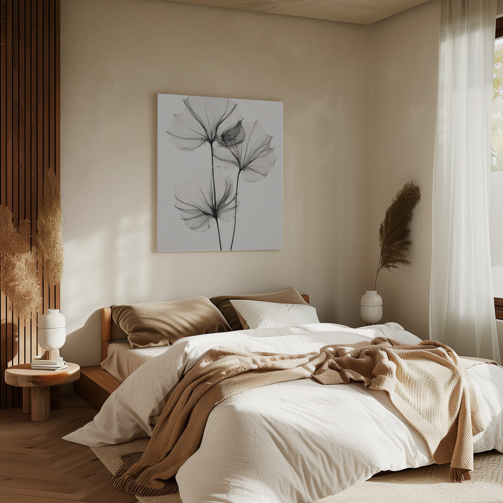 Transparent Botanic No 3 | Canvas