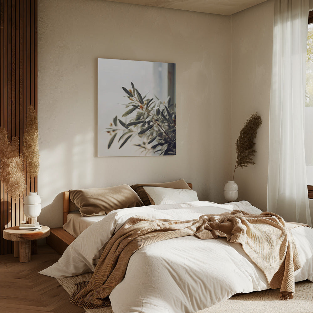 Olive Branch Light | Canvas