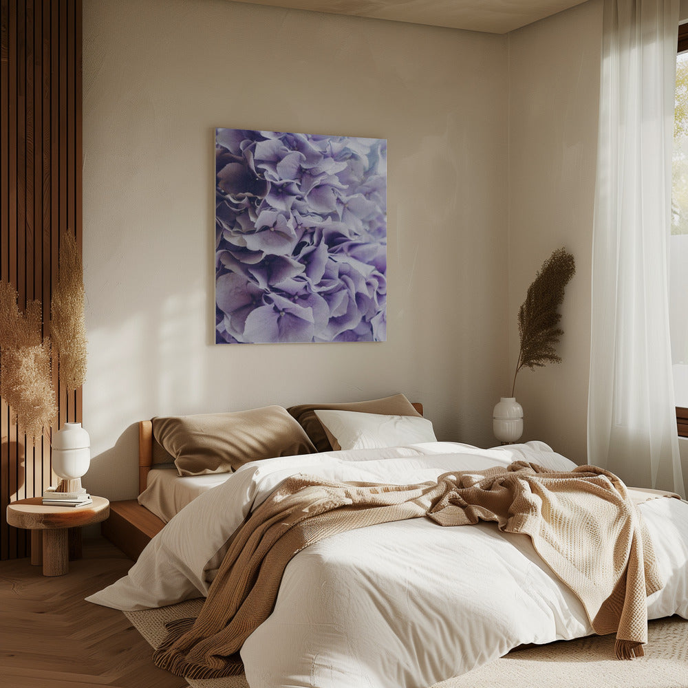 Vibrant Purple Hydrangea Flowers | Canvas