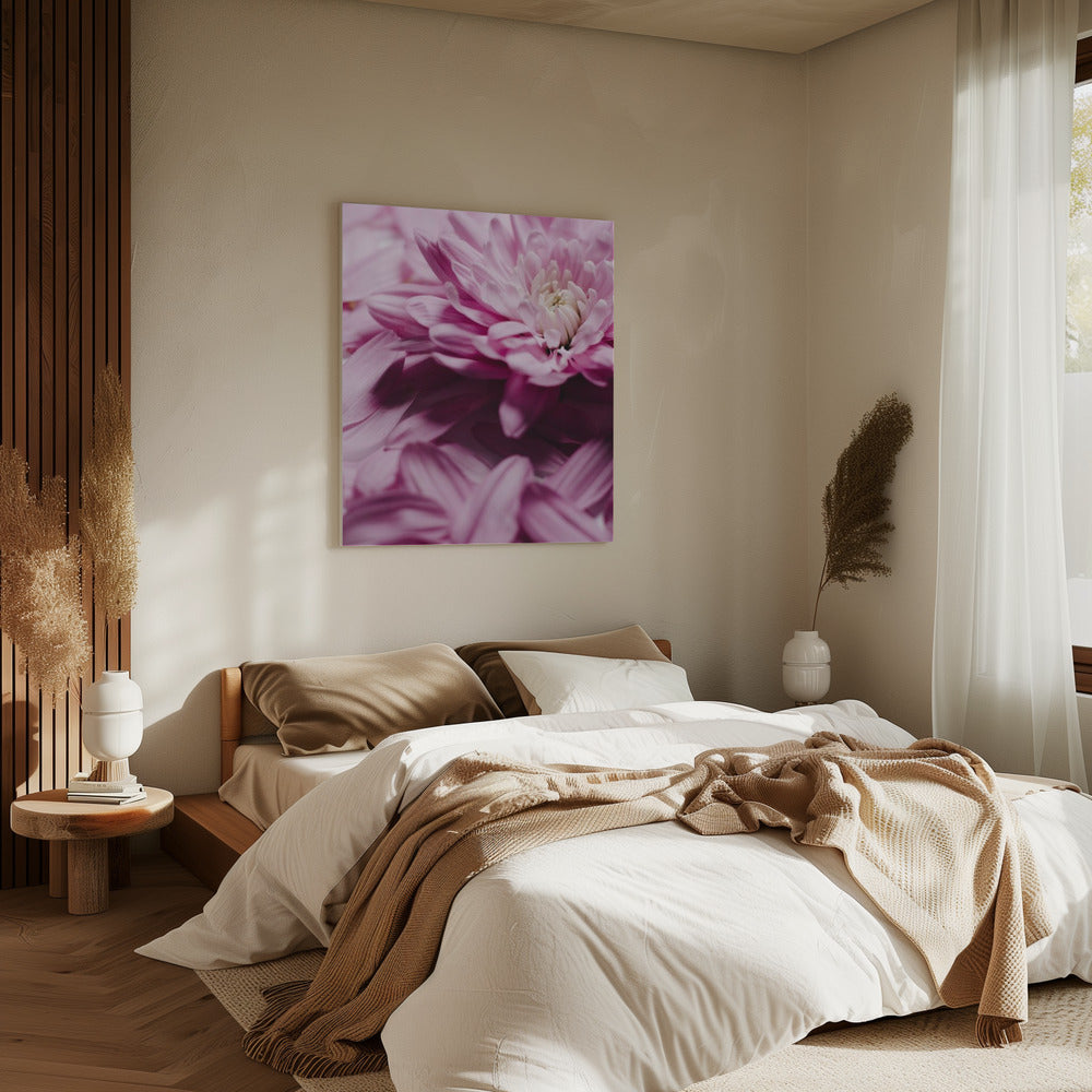 Pink Petal Symphony | Canvas