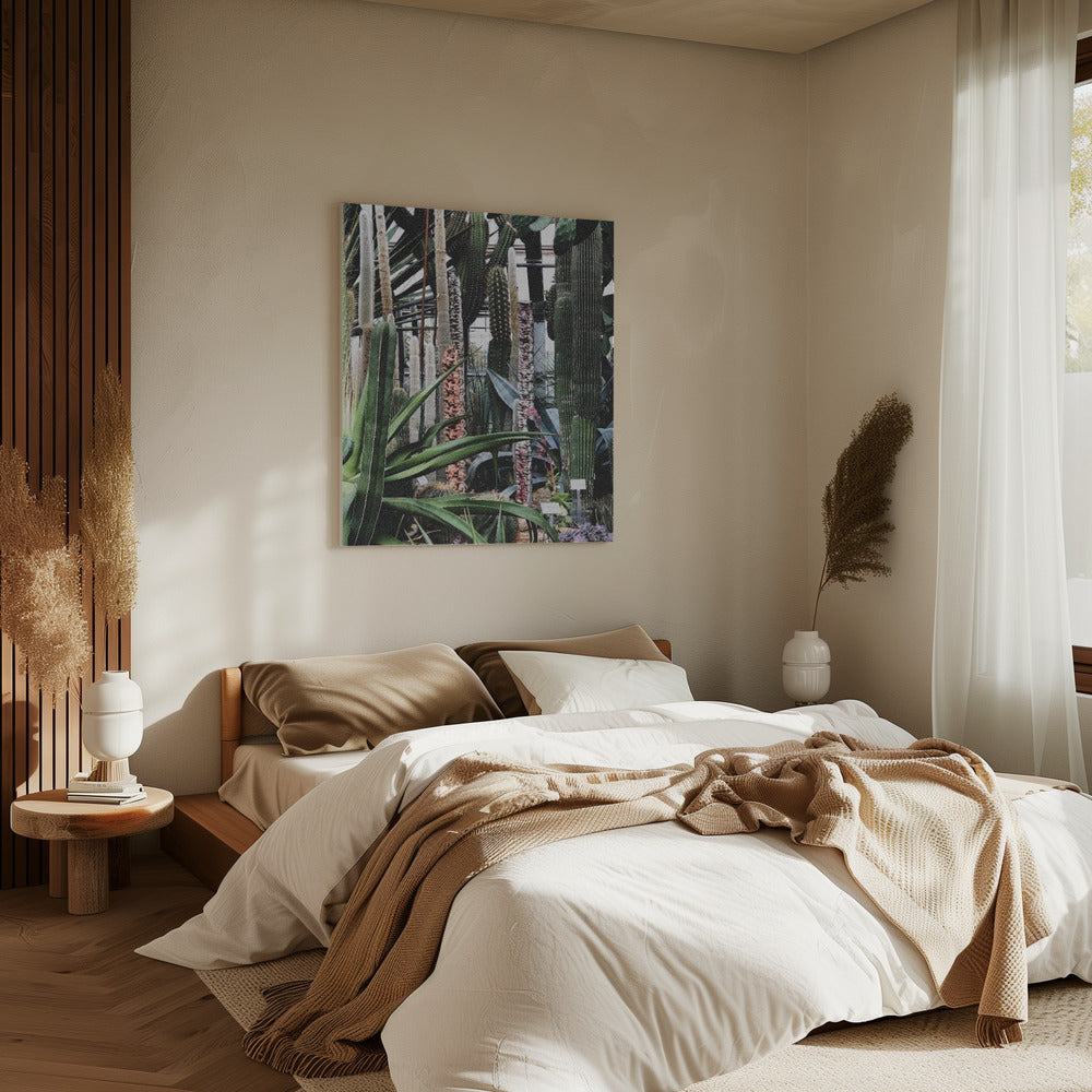 Cactus Sanctuary | Canvas