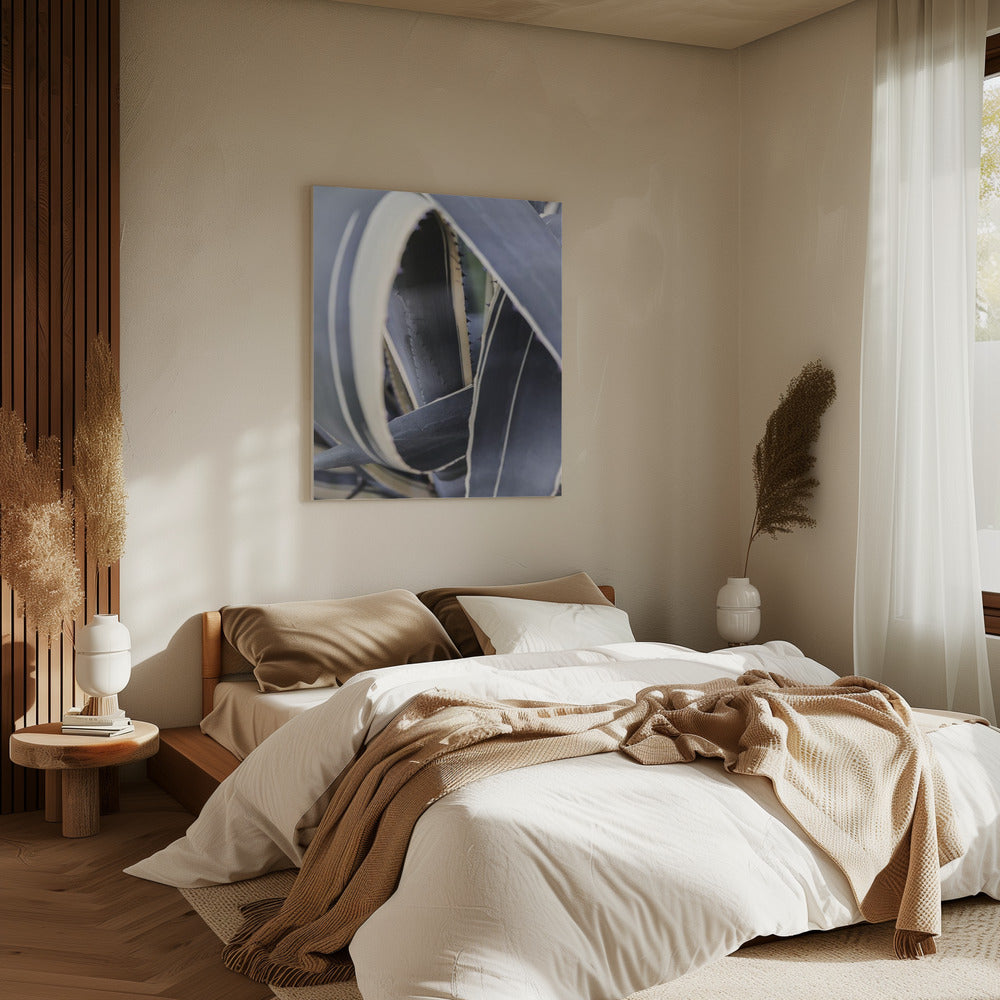 Spiral of Nature | Canvas