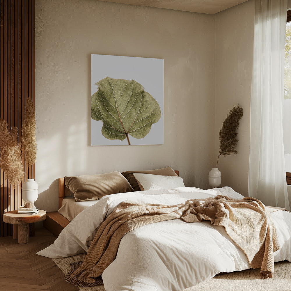 Leaf Vein Symphony | Canvas