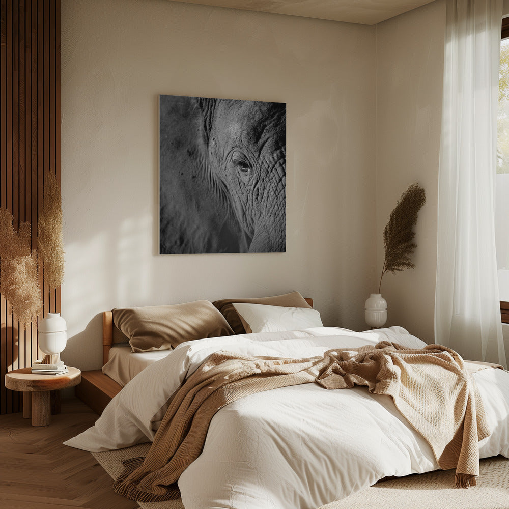 Majestic Wisdom | Canvas