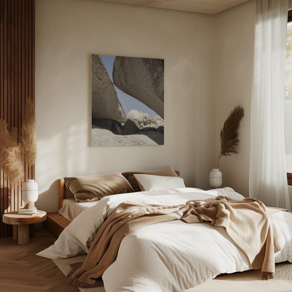 Rocky Embrace | Canvas