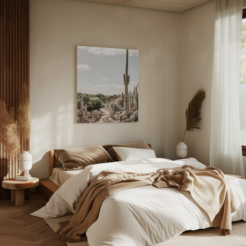 Cactus Farm | Canvas