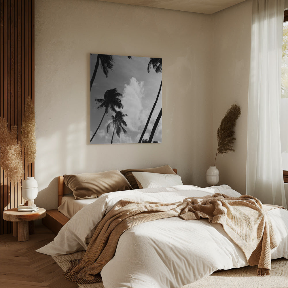 Silhouetted Palms | Canvas