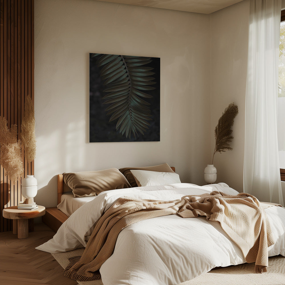 Frond in Shadow | Canvas