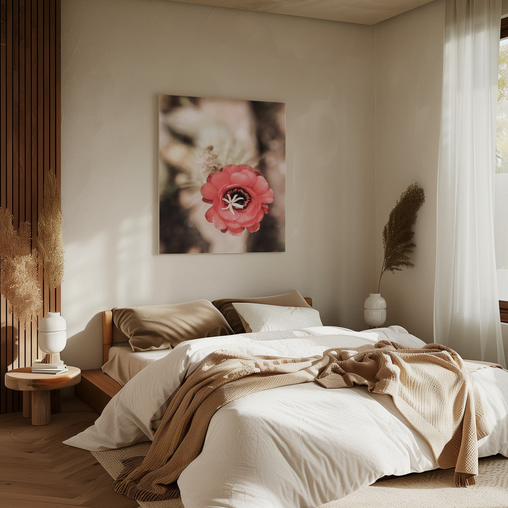 Desert Bloom Dance | Canvas