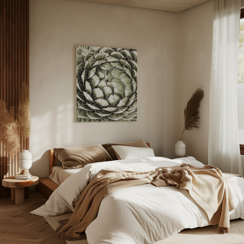 Geometric Succulent | Canvas