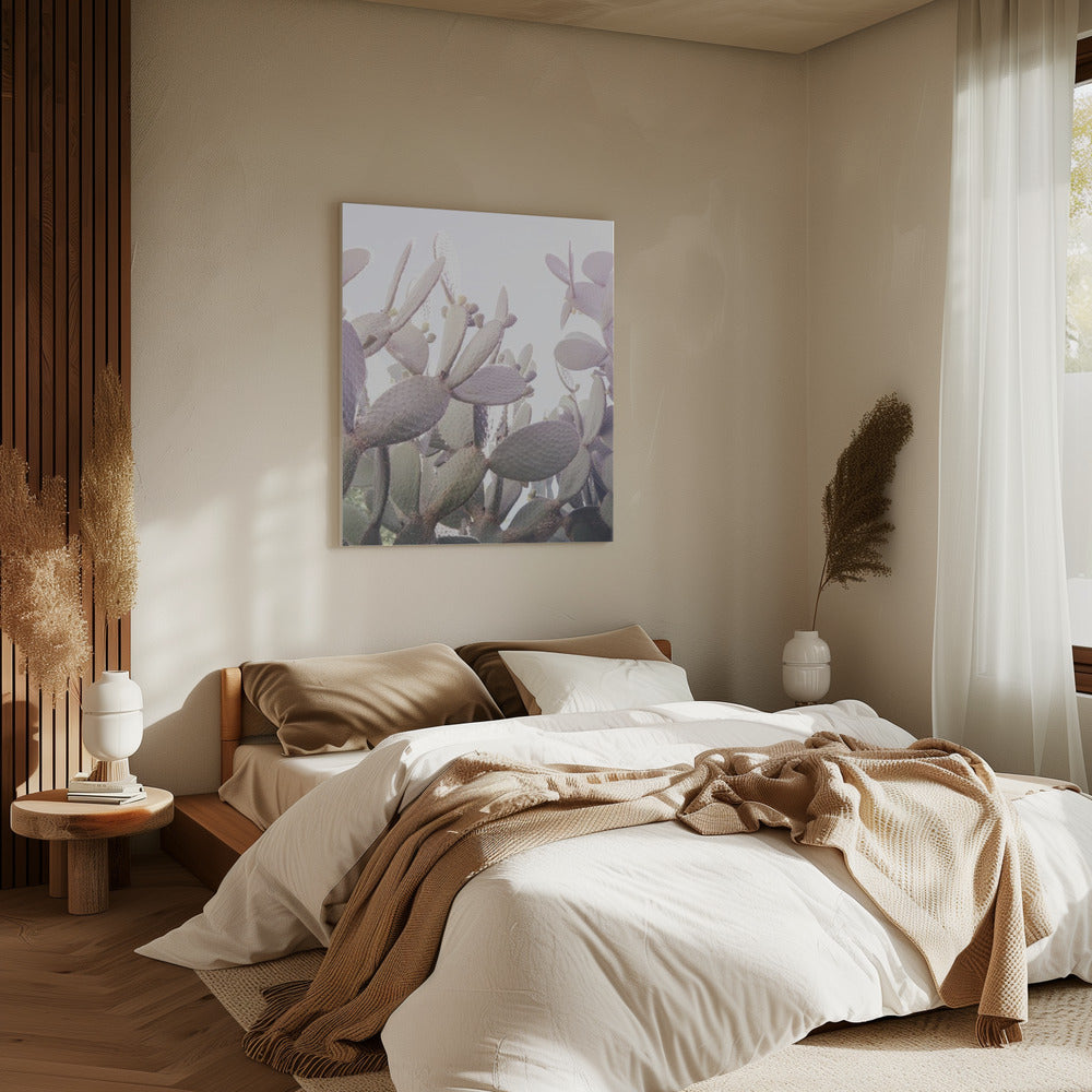 Prickly Serenity | Canvas