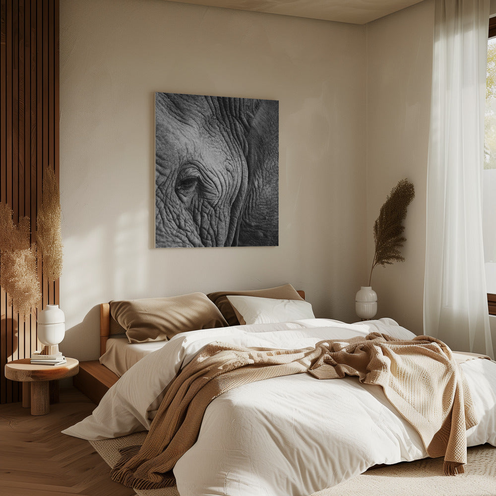 Wisdom&#039;s Wrinkles | Canvas