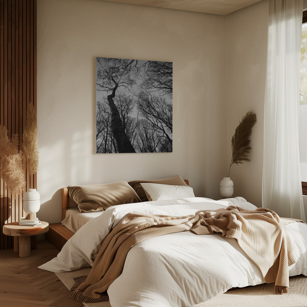 Winter&#039;s Reach | Canvas