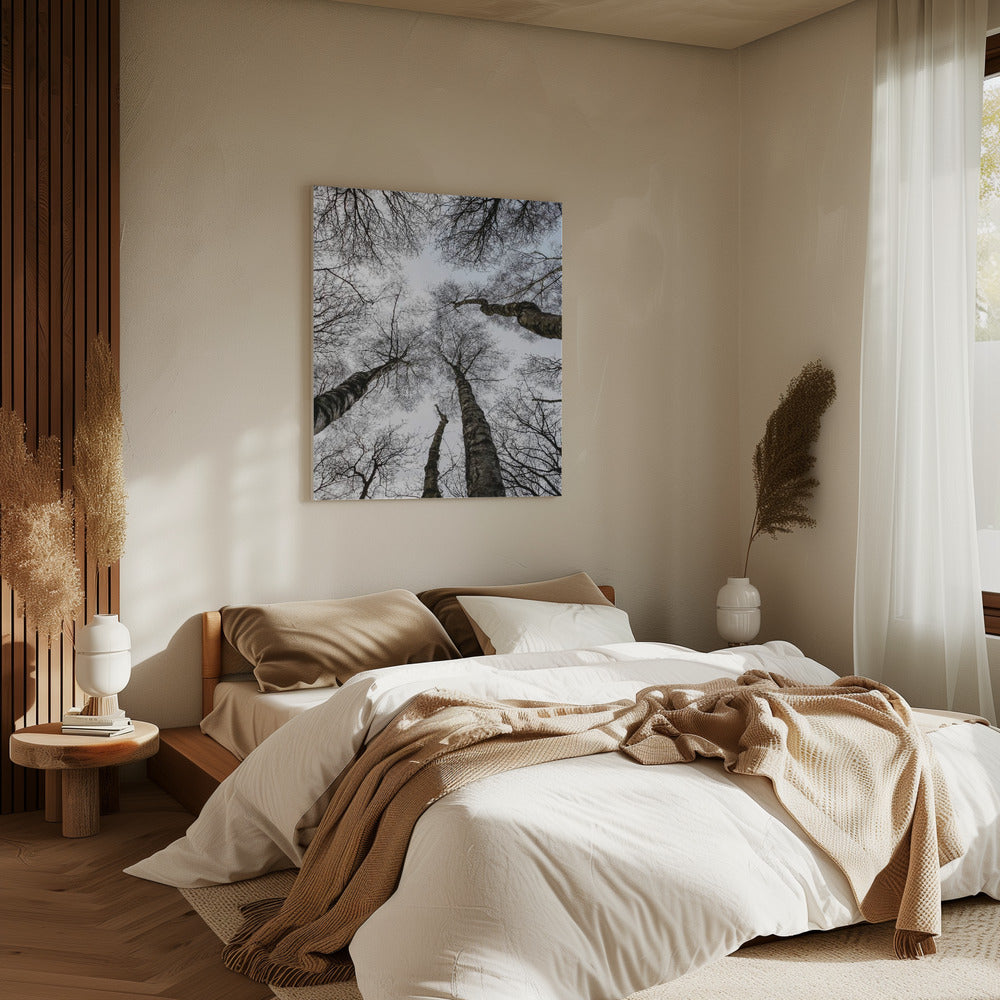 Winter&#039;s Embrace | Canvas