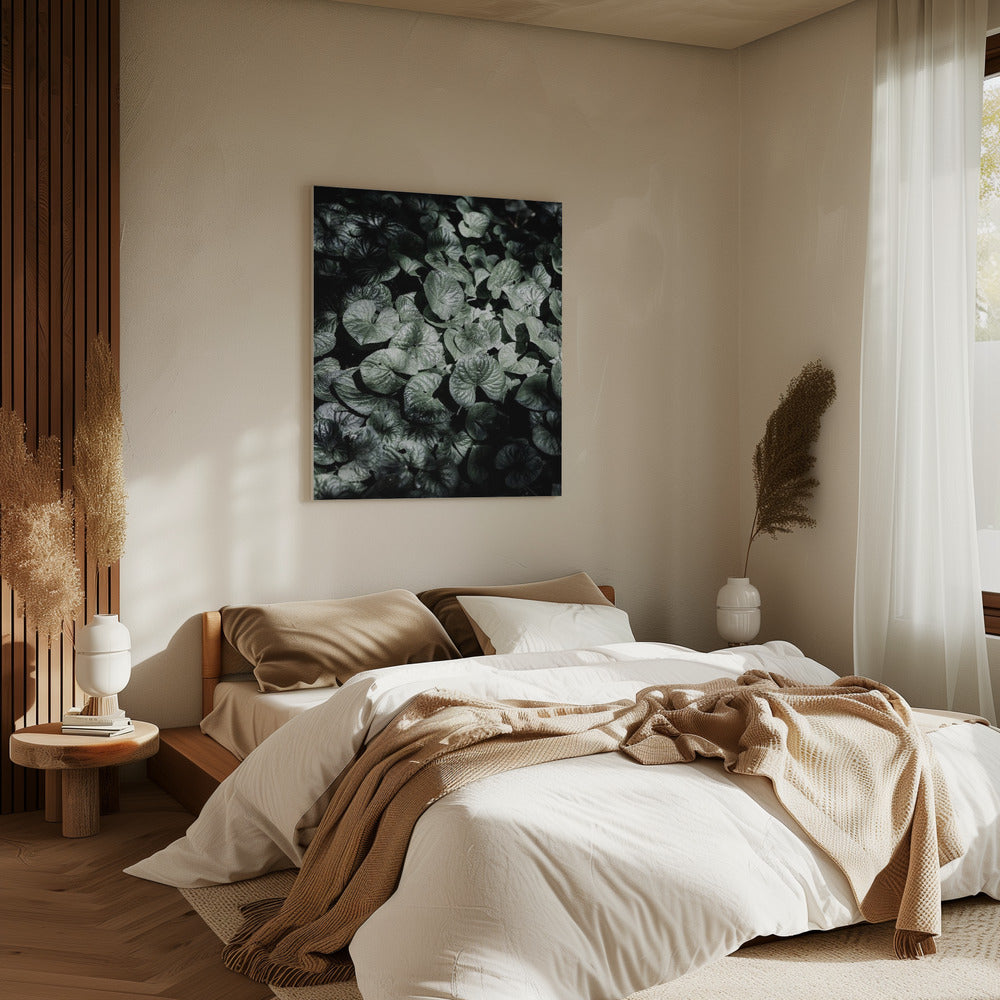 Leafy Shadows | Canvas