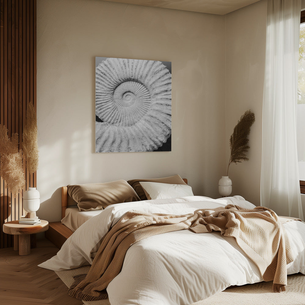 Ancient Spiral Dreams | Canvas