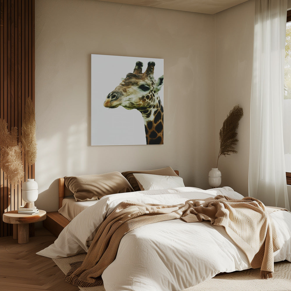 Giraffe&#039;s Graceful Gaze | Canvas