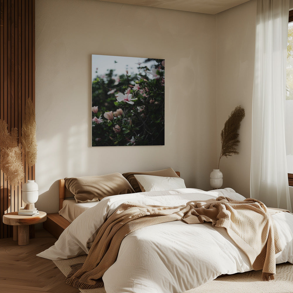 Blossoms in Bloom | Canvas