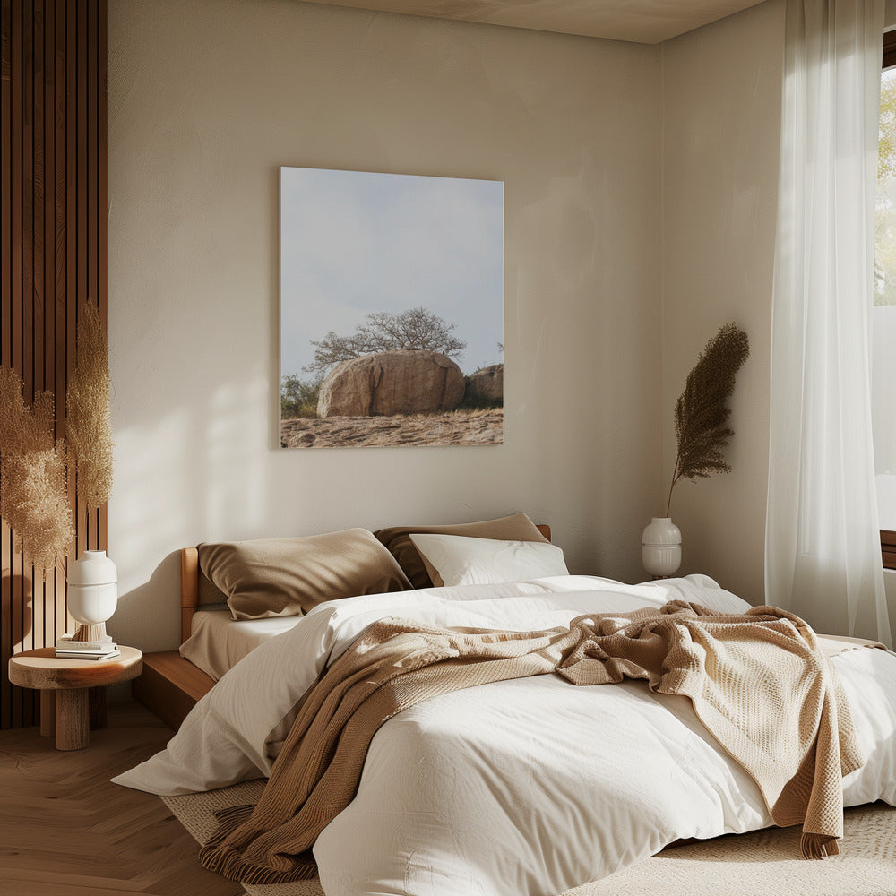 Tree on a Boulder | Canvas