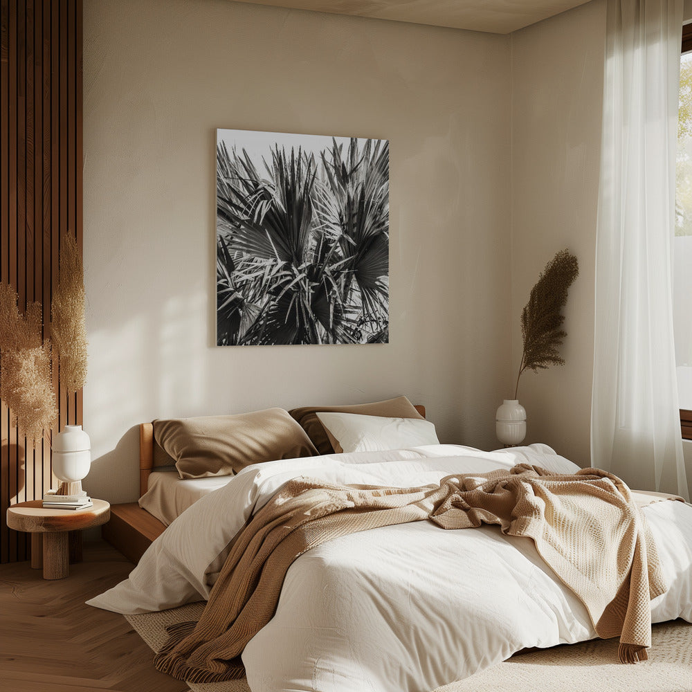 Spiky Serenity | Canvas