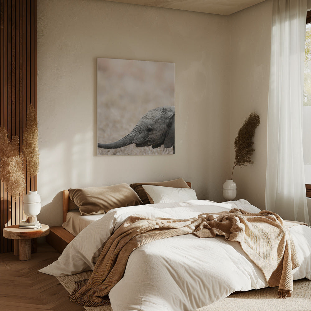 Gentle Giant&#039;s Gaze | Canvas