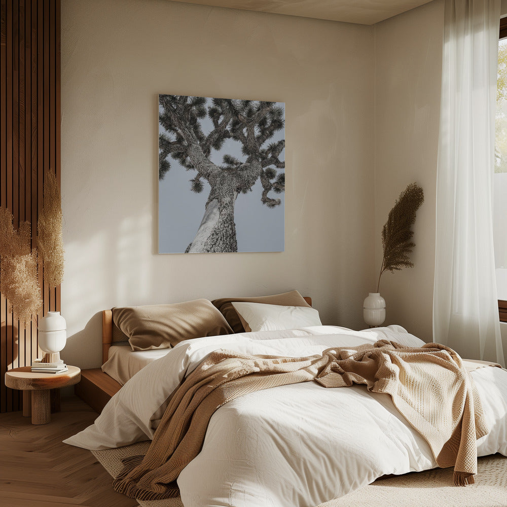 Twisting Desert Giant | Canvas