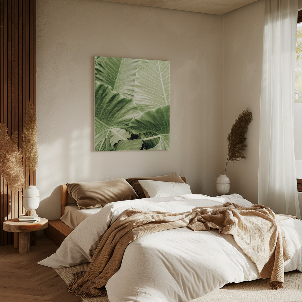 Verdant Foliage | Canvas