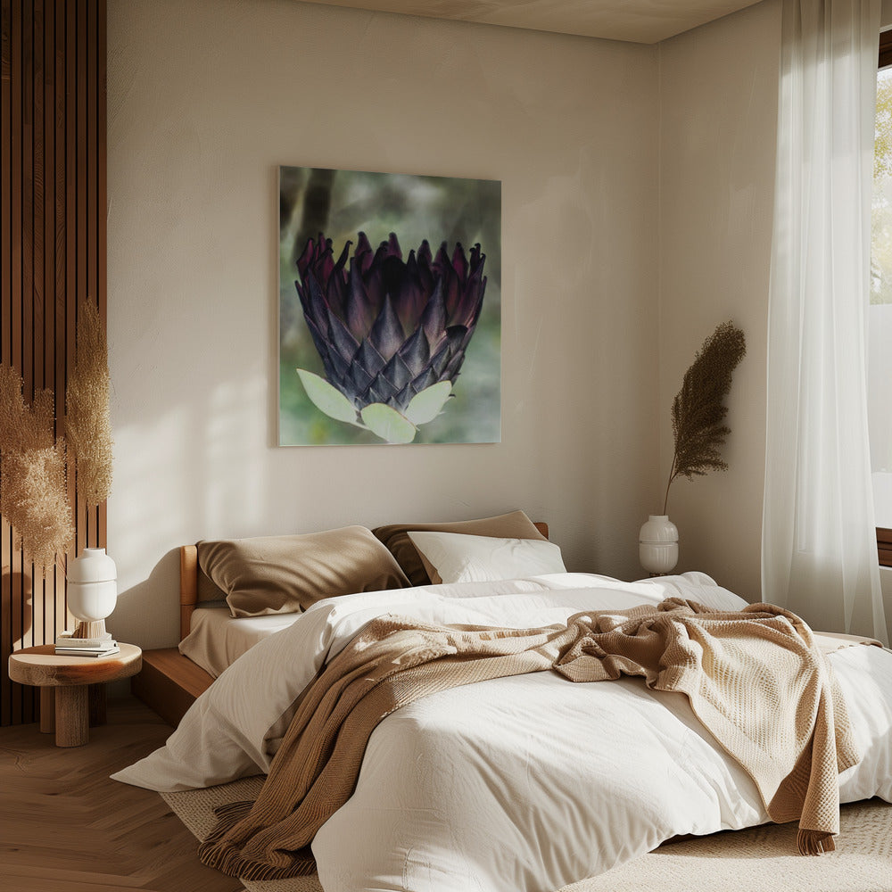 Shadowed Blossom | Canvas