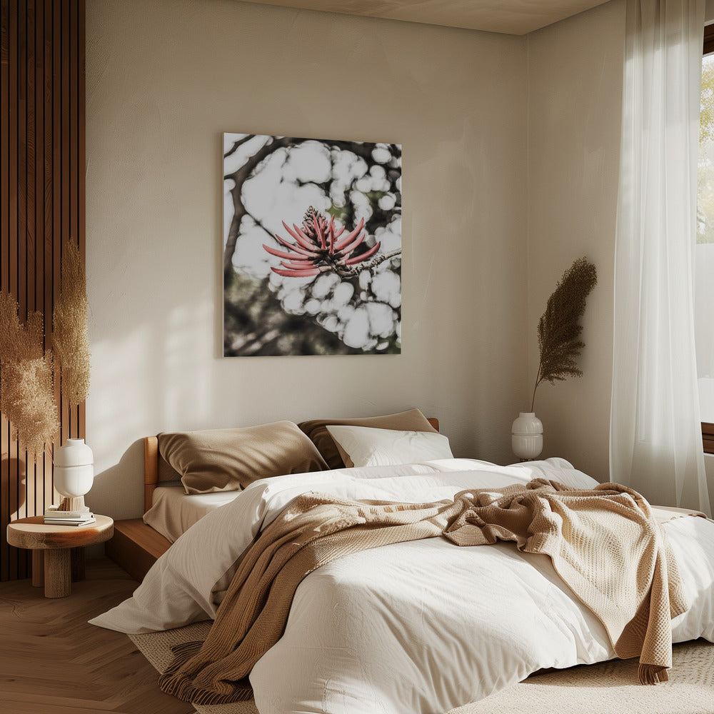 Crimson Blossom | Canvas