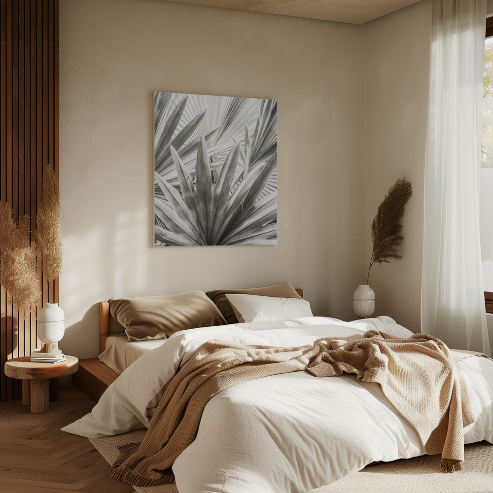 Silver Fronds | Canvas