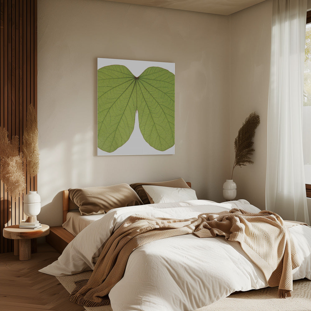 Leafy Vein Symphony | Canvas