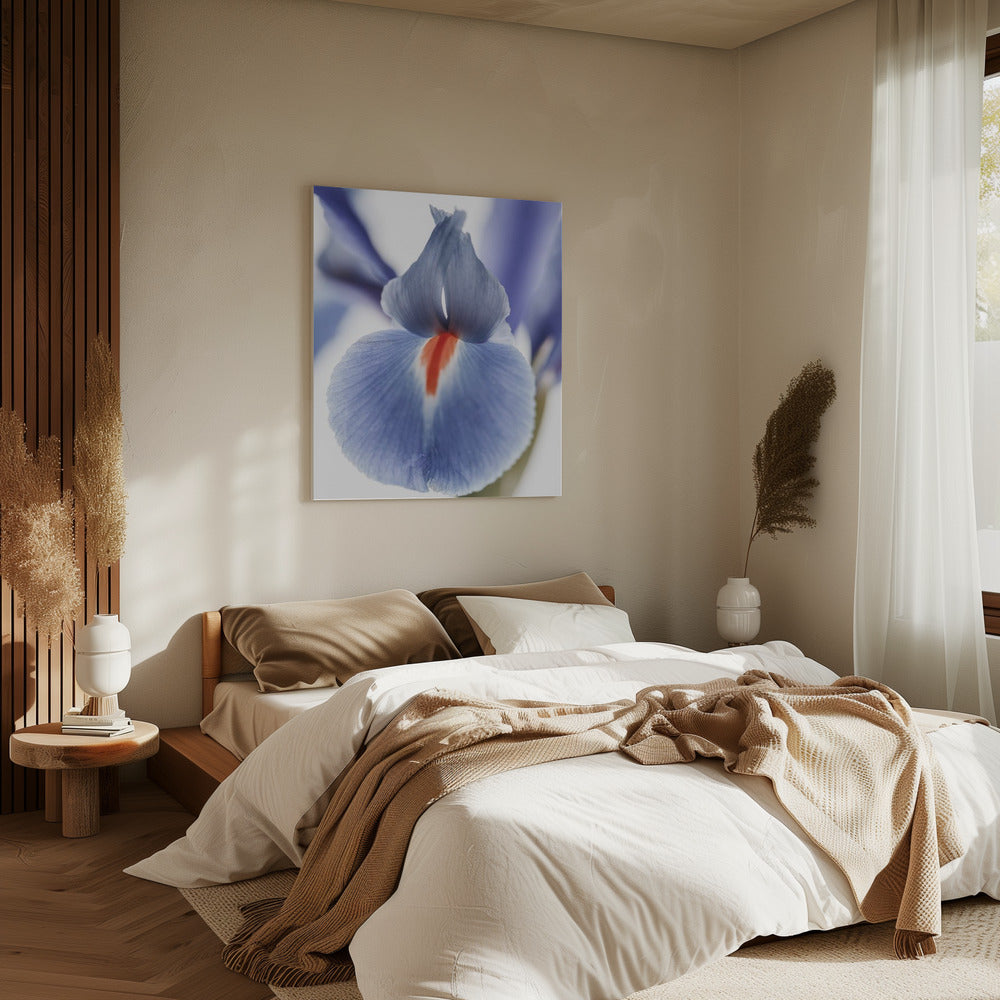 Blossom Whisper | Canvas