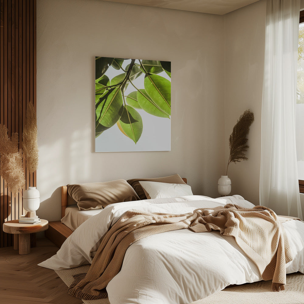 Sunlit Leaves | Canvas