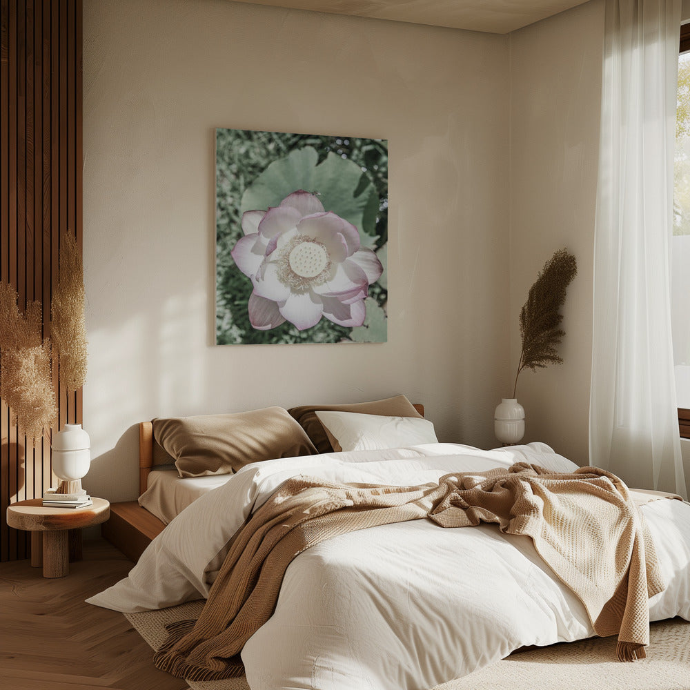 Lotus Serenity | Canvas