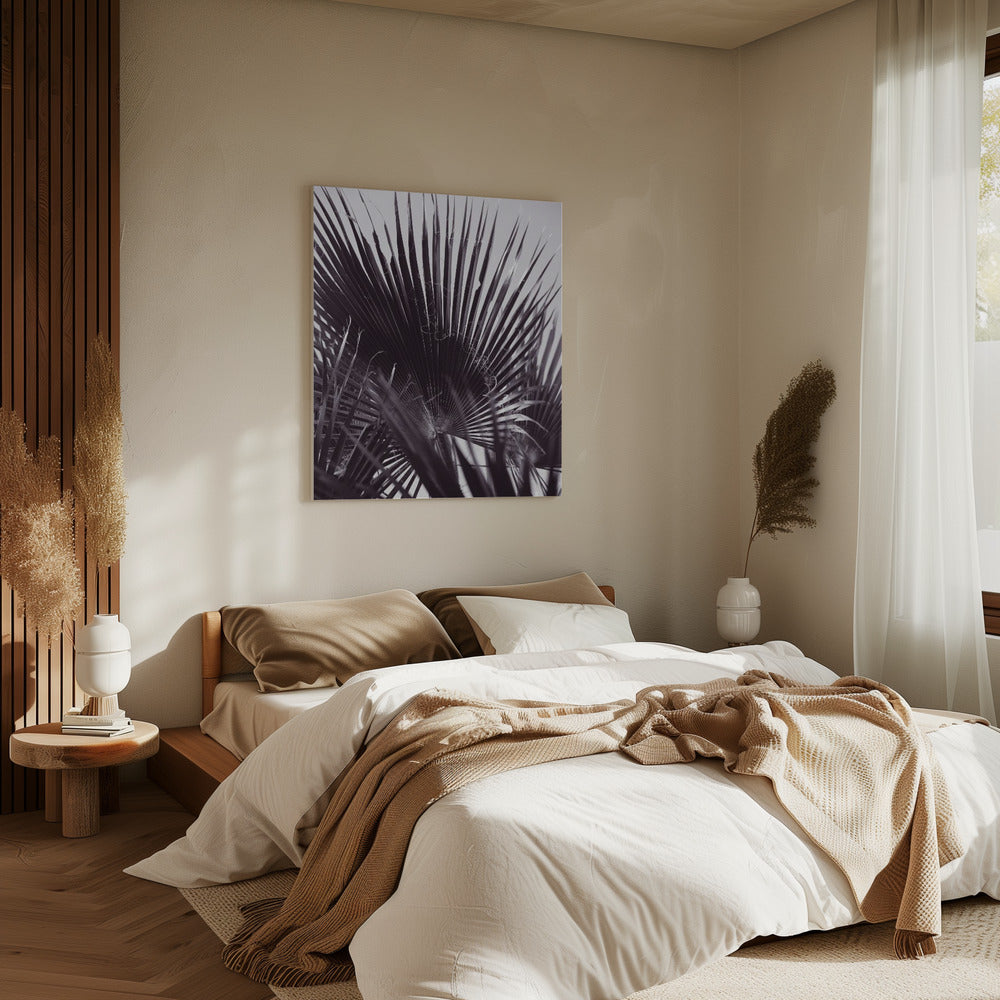 Palm Whisperings | Canvas