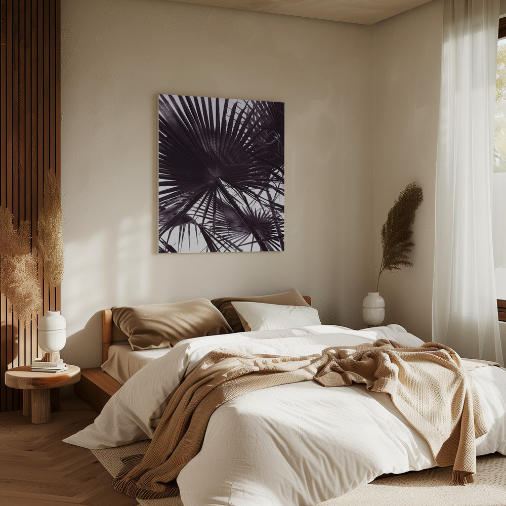 Palm Silhouette | Canvas