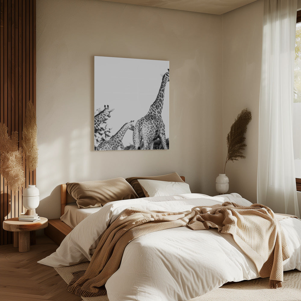 Giraffe Family Stroll | Canvas