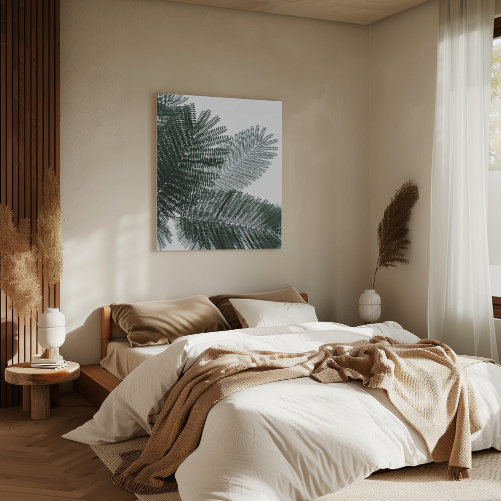 Fern Whispering | Canvas