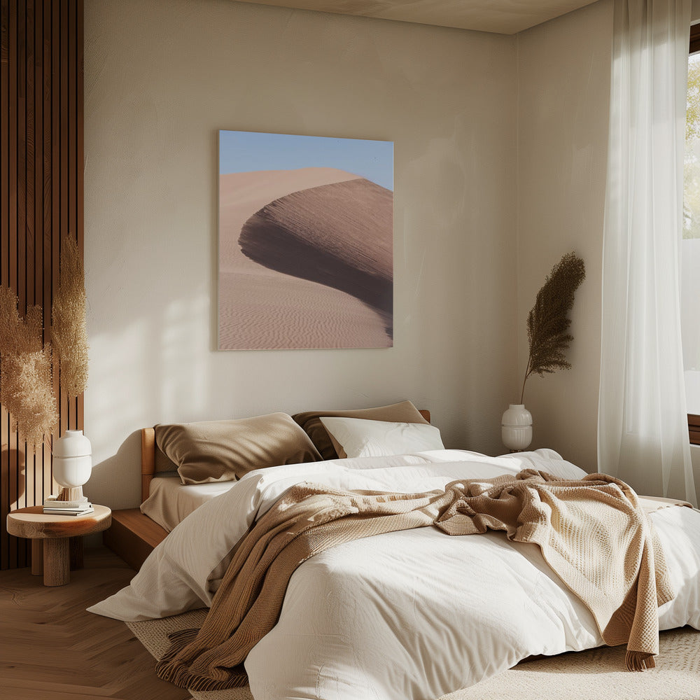 Desert&#039;s Graceful Curve | Canvas