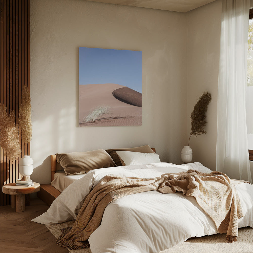 Desert Morningscape | Canvas