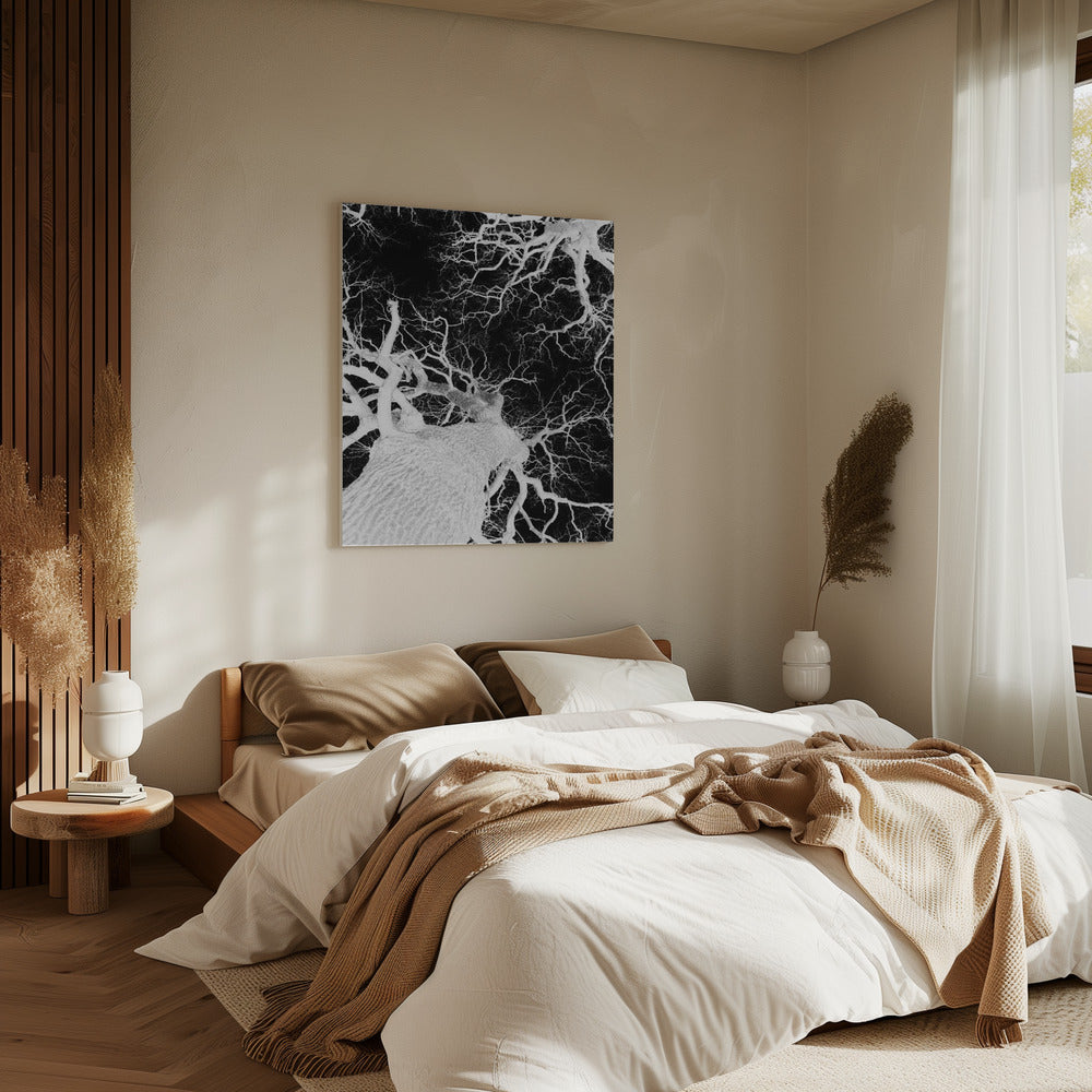 Winter&#039;s Veins | Canvas