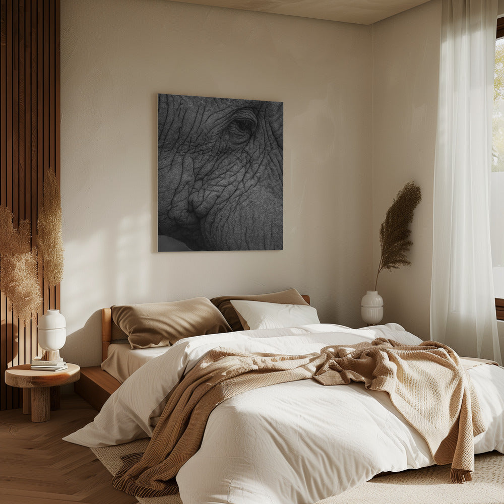 Elephant&#039;s Wisdom | Canvas