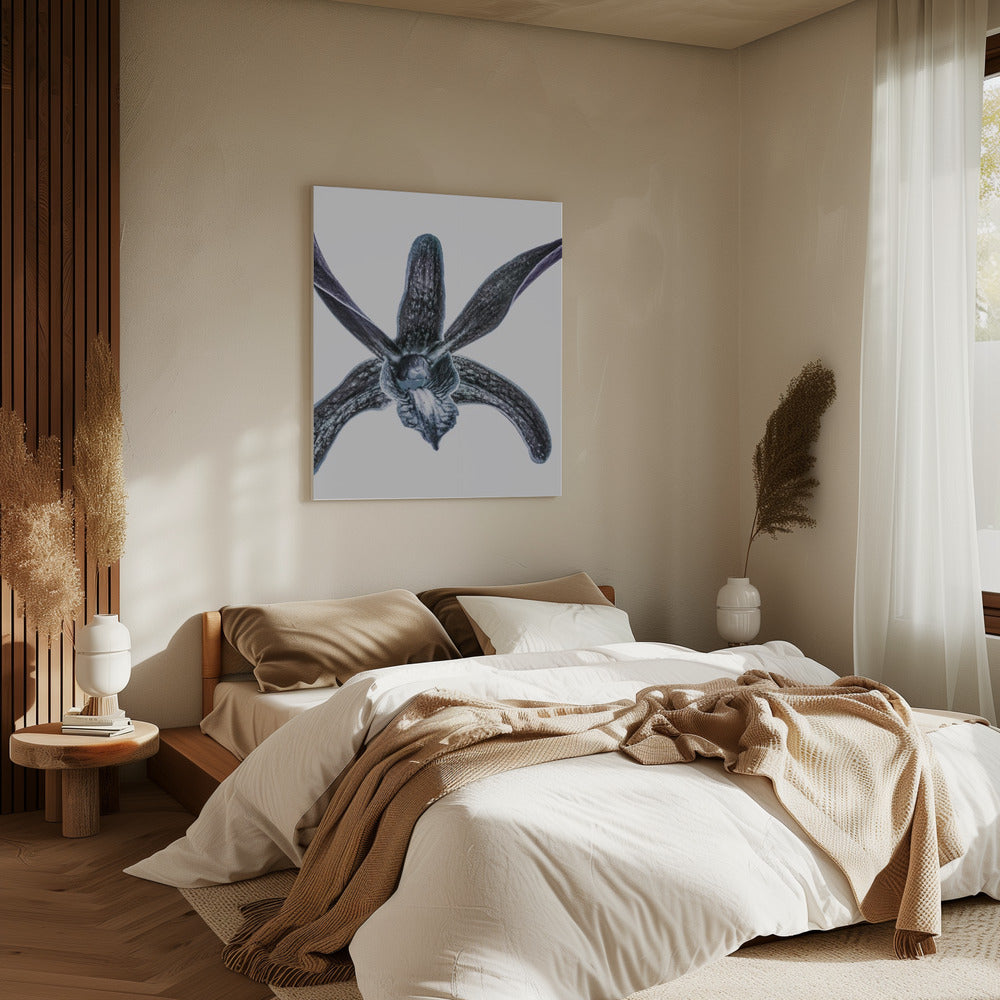 Midnight Blossom | Canvas