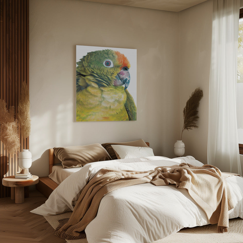Vibrant Parrot Glance | Canvas